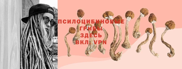 круглые Беломорск