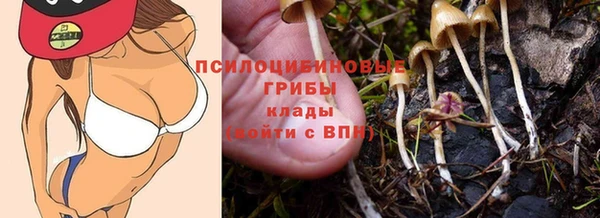 бошки Белоозёрский