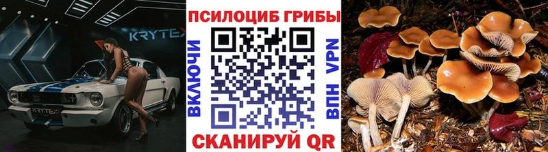 Псилоцибиновые грибы GOLDEN TEACHER Купить закладки Вяземский